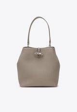 Medium Le Roseau Leather Top Handle Bag