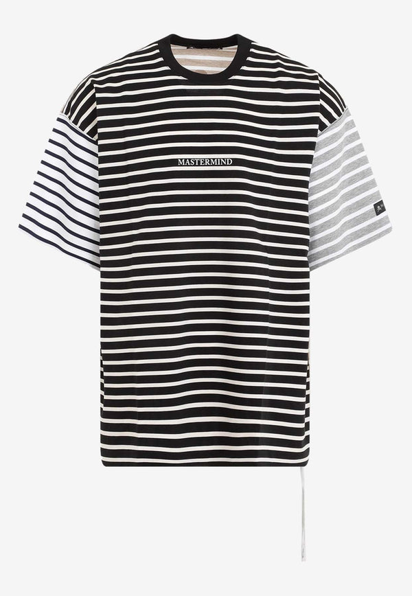 Paneled Striped Crewneck T-shirt