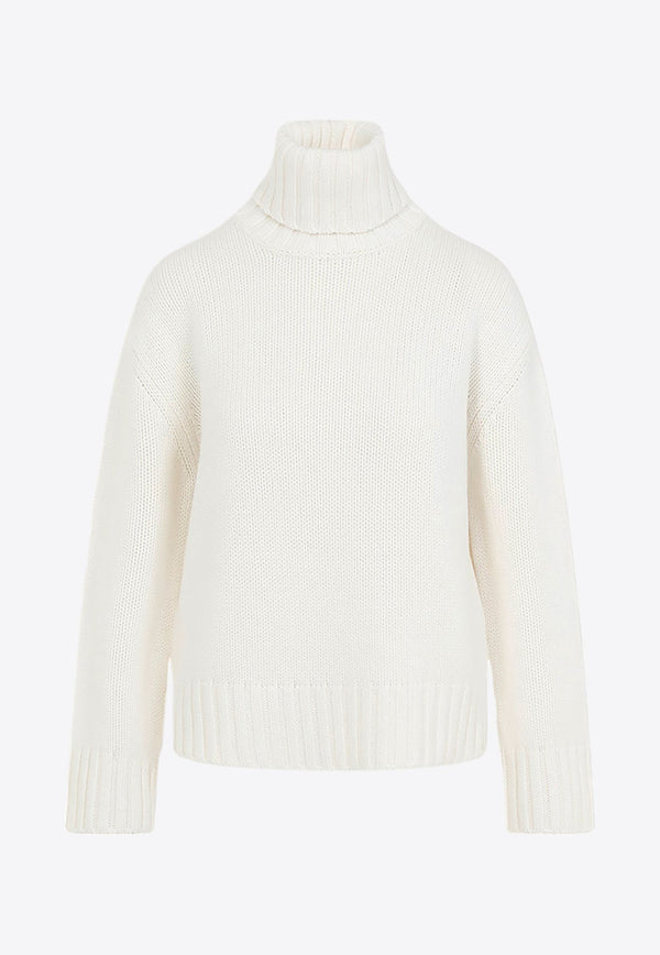 Turtleneck Wool Sweater