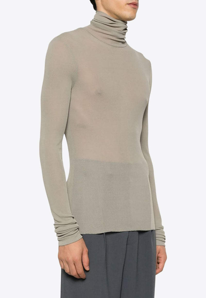 Semi Sheer Turtleneck Sweater