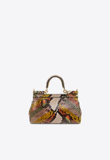 Small Sicily Top Handle Bag in Python Skin Leather