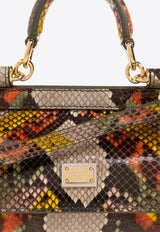 Small Sicily Top Handle Bag in Python Skin Leather