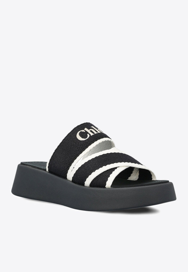 Mila Logo Flatform Slides