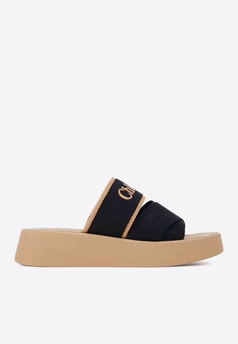 Mila Logo Flatform Slides