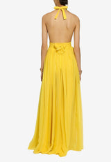 Sleeveless Silk Chiffon Maxi Dress