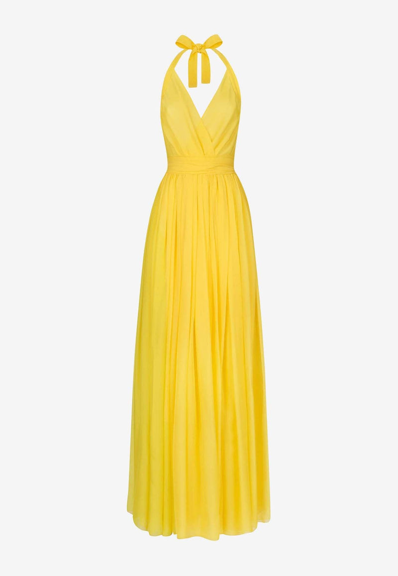 Sleeveless Silk Chiffon Maxi Dress