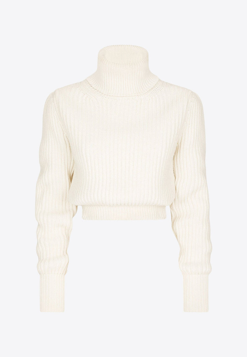 Ribbed Knit Wool Turtleneck Sweater