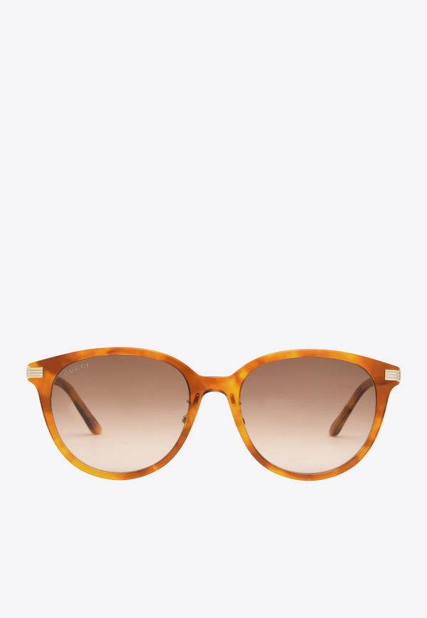 Round Acetate Sunglasses