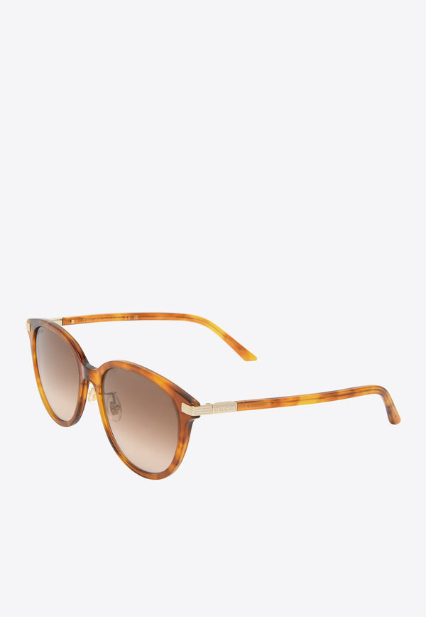 Round Acetate Sunglasses