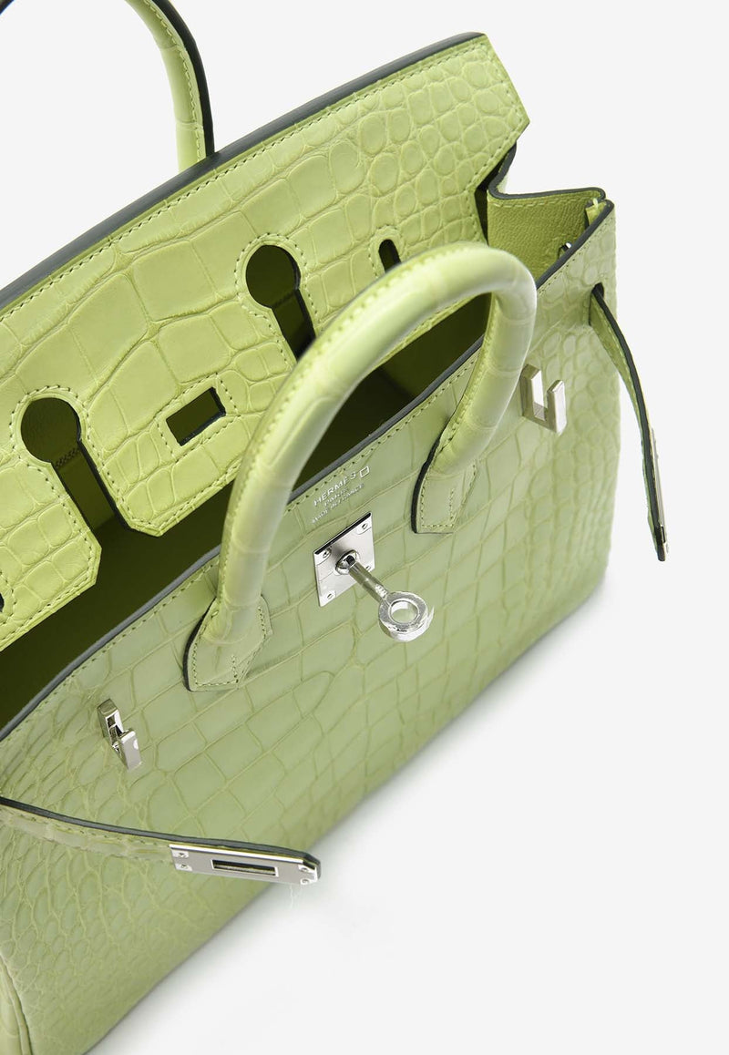 Birkin 25 in Jaune Bourgeon Matte Alligator with Palladium Hardware