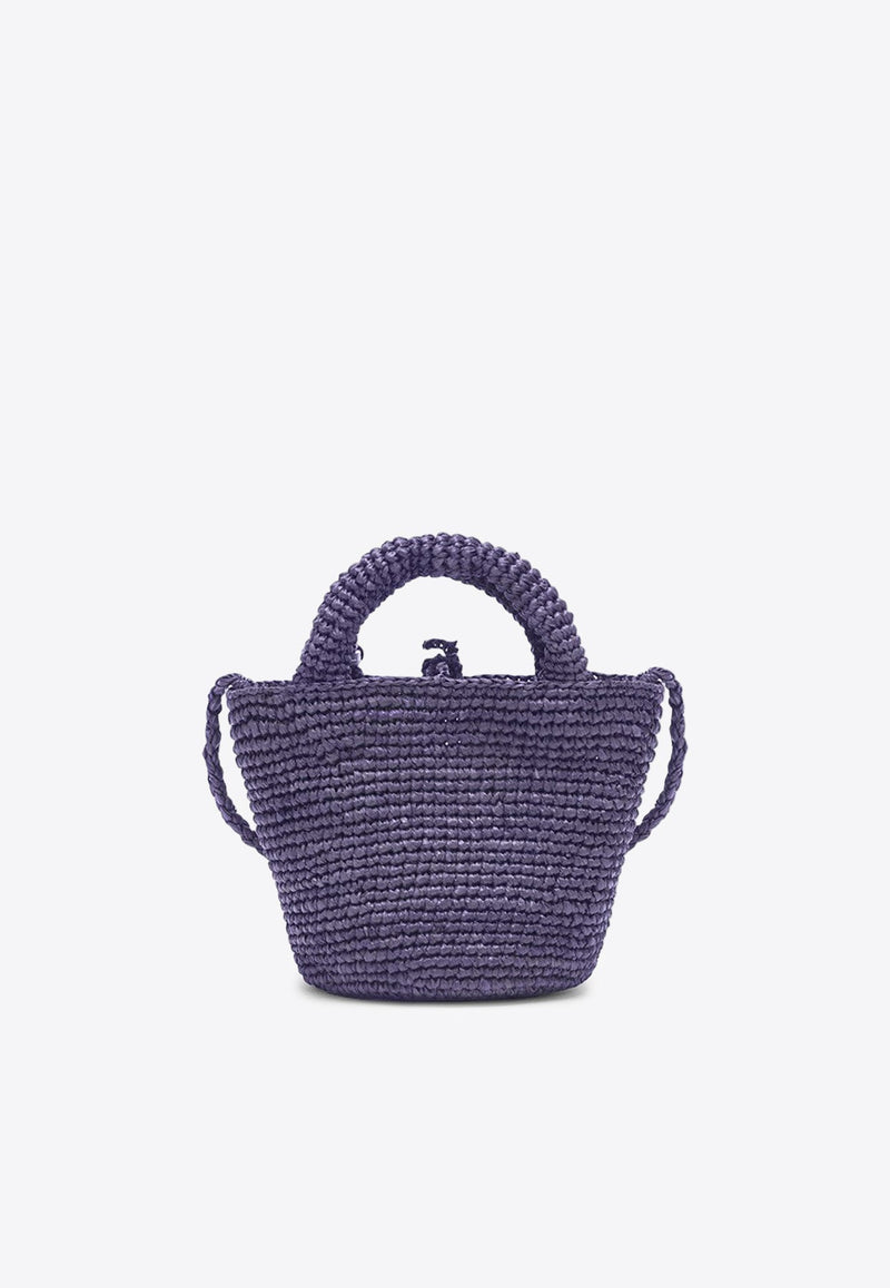 Mini Raffia Crossbody Bag