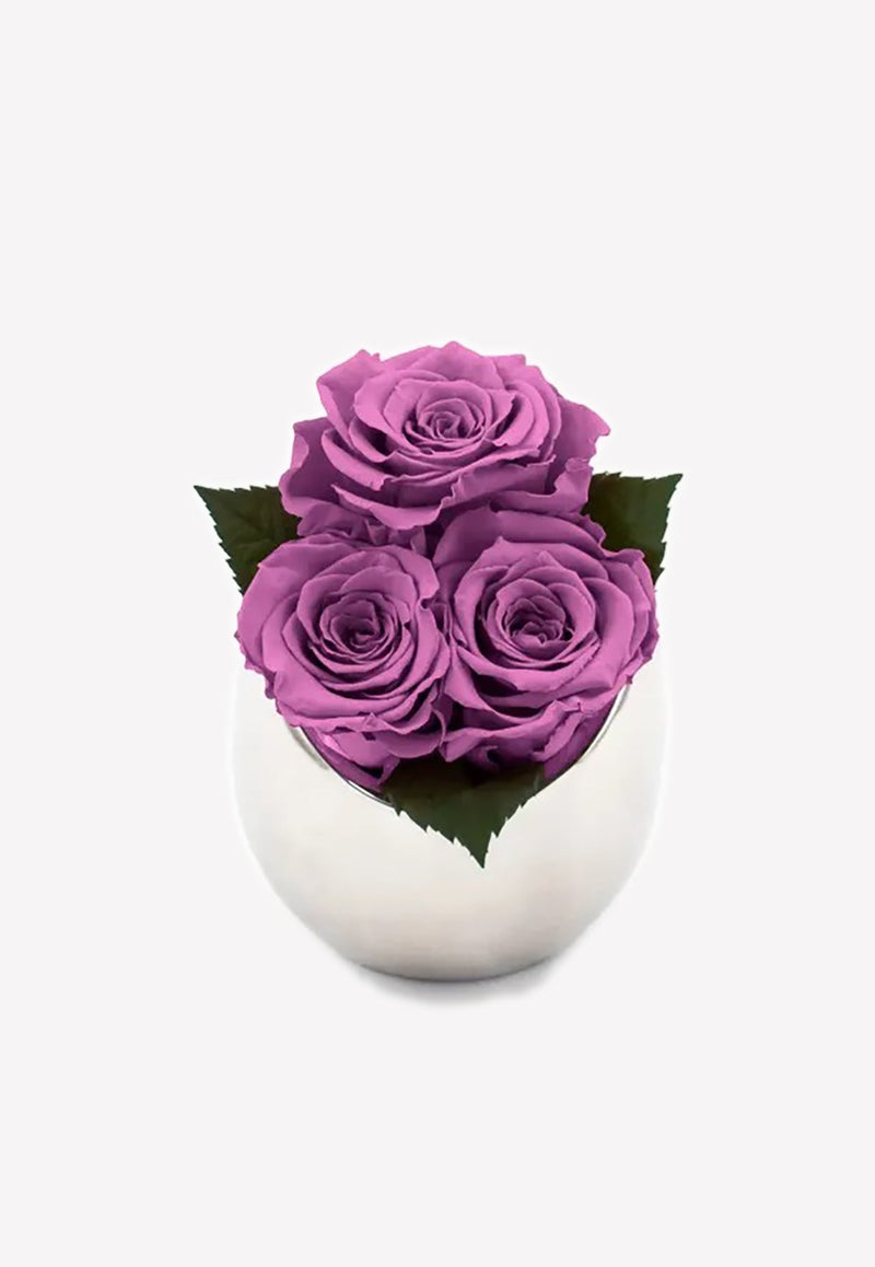 Infinite Rose Fortune